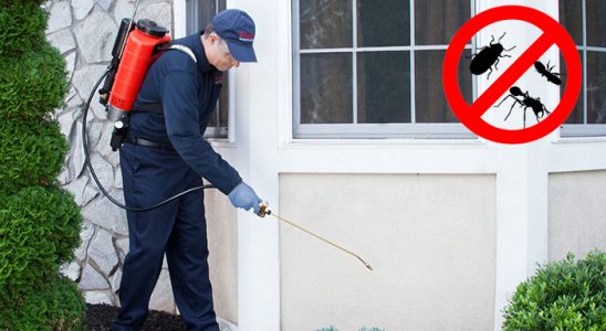 Yıldızeli Bit İlaçlama böcek ilaçlama ve haşere kontrolü — ilaclama-tr.com